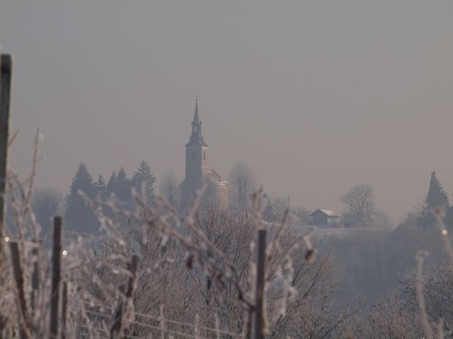 vinski vrh u zimskoj izmaglici